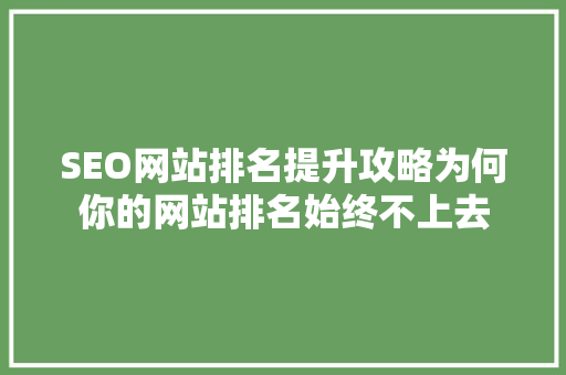 SEO网站排名提升攻略为何你的网站排名始终不上去