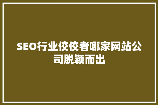 SEO行业佼佼者哪家网站公司脱颖而出
