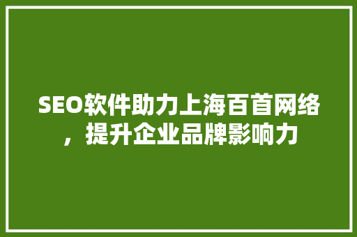 SEO软件助力上海百首网络，提升企业品牌影响力