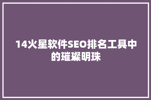 14火星软件SEO排名工具中的璀璨明珠