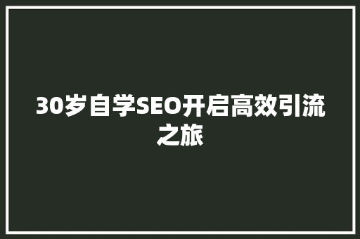 30岁自学SEO开启高效引流之旅