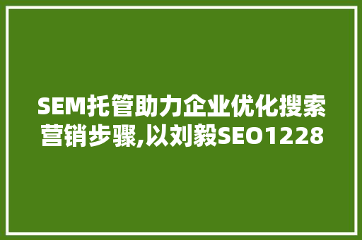 SEM托管助力企业优化搜索营销步骤,以刘毅SEO1228为例
