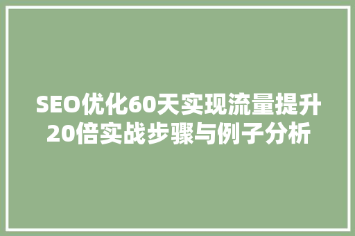 SEO优化60天实现流量提升20倍实战步骤与例子分析