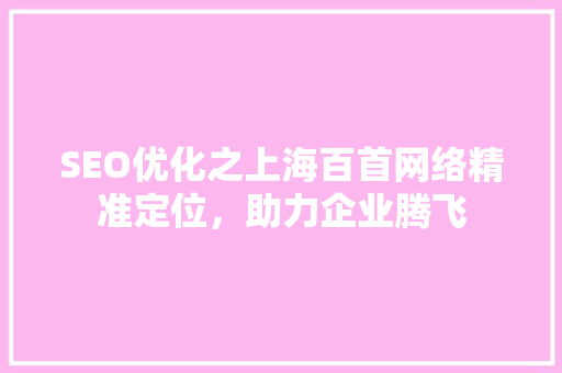 SEO优化之上海百首网络精准定位，助力企业腾飞