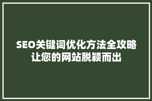 SEO关键词优化方法全攻略让您的网站脱颖而出