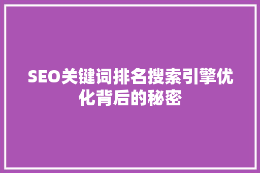 SEO关键词排名搜索引擎优化背后的秘密