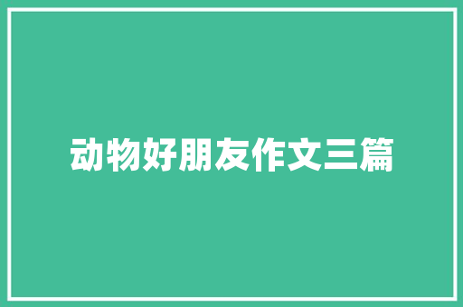 SEO内容优化掌握基本技能，助力网站排名提升