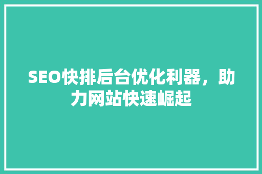 SEO快排后台优化利器，助力网站快速崛起