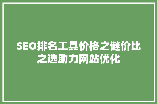 SEO排名工具价格之谜价比之选助力网站优化