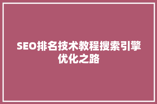 SEO排名技术教程搜索引擎优化之路