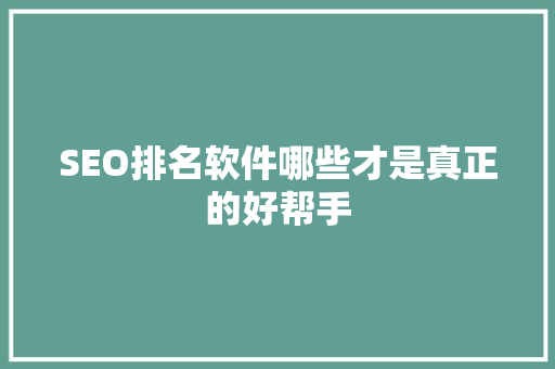 SEO排名软件哪些才是真正的好帮手