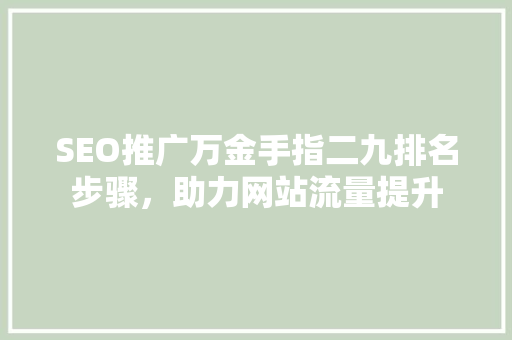 SEO推广万金手指二九排名步骤，助力网站流量提升