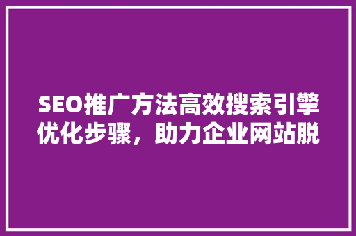 SEO推广方法高效搜索引擎优化步骤，助力企业网站脱颖而出
