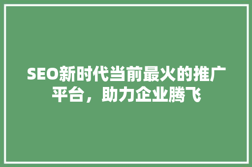 SEO新时代当前最火的推广平台，助力企业腾飞