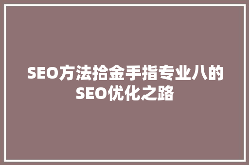 SEO方法拾金手指专业八的SEO优化之路