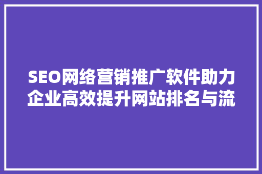 SEO网络营销推广软件助力企业高效提升网站排名与流量