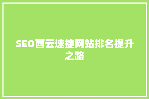 SEO酉云速捷网站排名提升之路