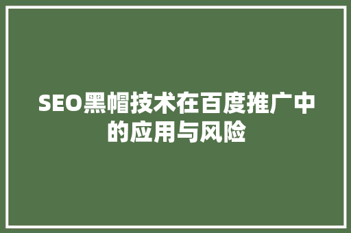 SEO黑帽技术在百度推广中的应用与风险