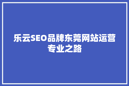 乐云SEO品牌东莞网站运营专业之路