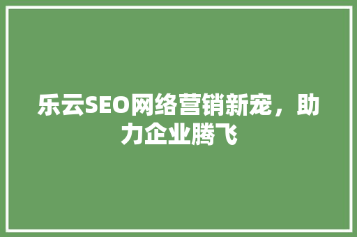 乐云SEO网络营销新宠，助力企业腾飞