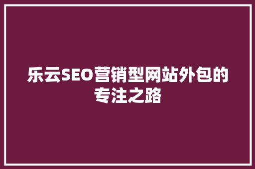 乐云SEO营销型网站外包的专注之路