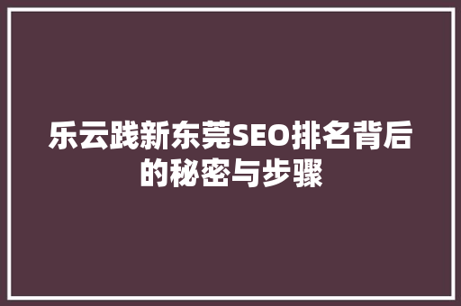 乐云践新东莞SEO排名背后的秘密与步骤
