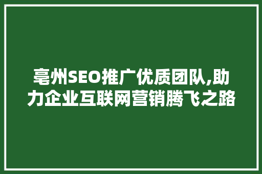 亳州SEO推广优质团队,助力企业互联网营销腾飞之路
