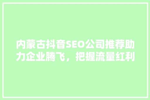 内蒙古抖音SEO公司推荐助力企业腾飞，把握流量红利