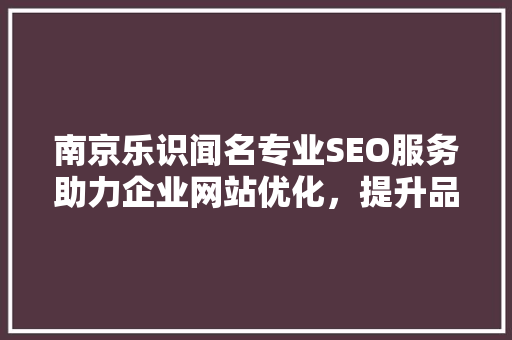 南京乐识闻名专业SEO服务助力企业网站优化，提升品牌影响力