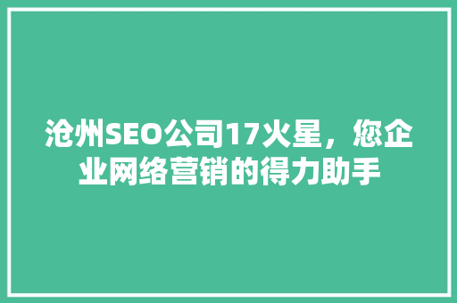 沧州SEO公司17火星，您企业网络营销的得力助手