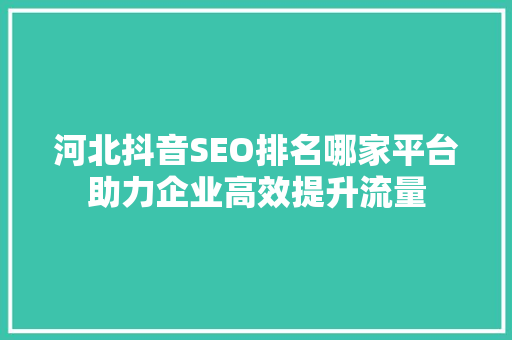 河北抖音SEO排名哪家平台助力企业高效提升流量