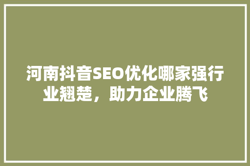 河南抖音SEO优化哪家强行业翘楚，助力企业腾飞