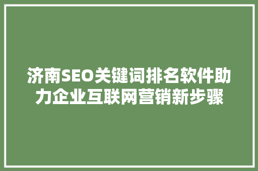 济南SEO关键词排名软件助力企业互联网营销新步骤