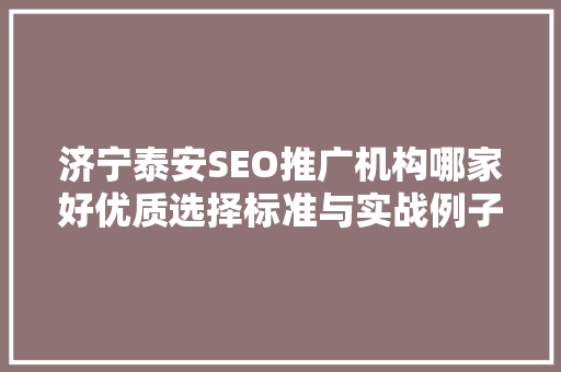 济宁泰安SEO推广机构哪家好优质选择标准与实战例子