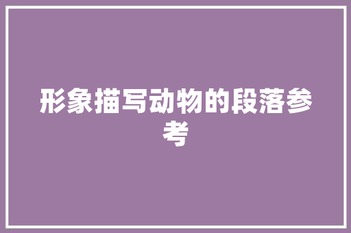淄博抖音短视频SEO优化打造爆款短视频，提升品牌影响力