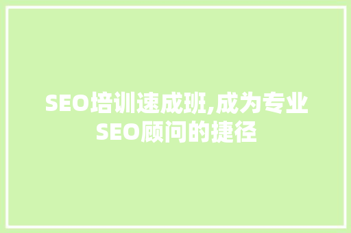 SEO培训速成班,成为专业SEO顾问的捷径