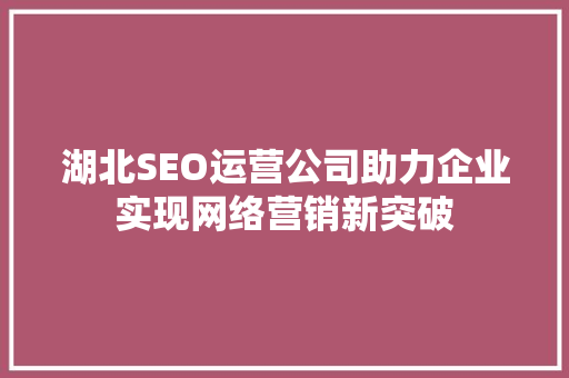 湖北SEO运营公司助力企业实现网络营销新突破