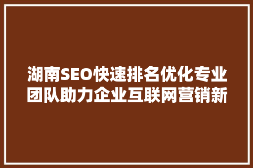 湖南SEO快速排名优化专业团队助力企业互联网营销新突破