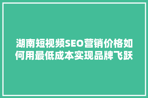 湖南短视频SEO营销价格如何用最低成本实现品牌飞跃