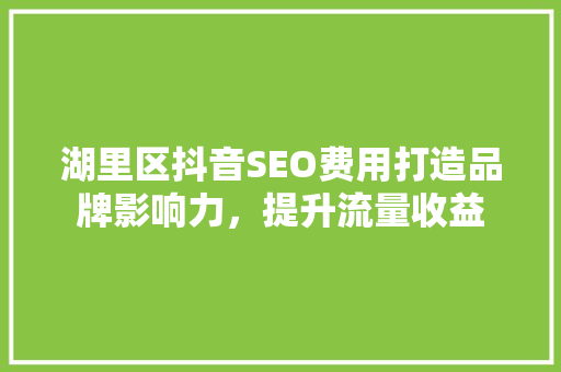 湖里区抖音SEO费用打造品牌影响力，提升流量收益