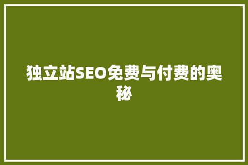 独立站SEO免费与付费的奥秘