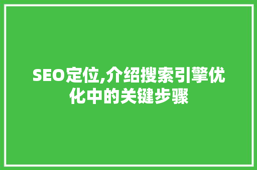 SEO定位,介绍搜索引擎优化中的关键步骤