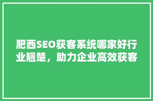 肥西SEO获客系统哪家好行业翘楚，助力企业高效获客