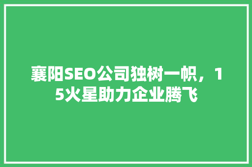 襄阳SEO公司独树一帜，15火星助力企业腾飞