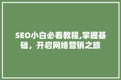 SEO小白必看教程,掌握基础，开启网络营销之旅