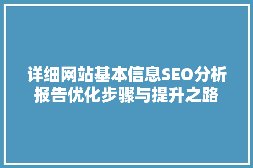 详细网站基本信息SEO分析报告优化步骤与提升之路