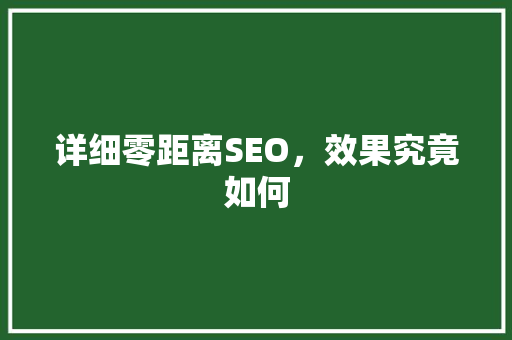 详细零距离SEO，效果究竟如何