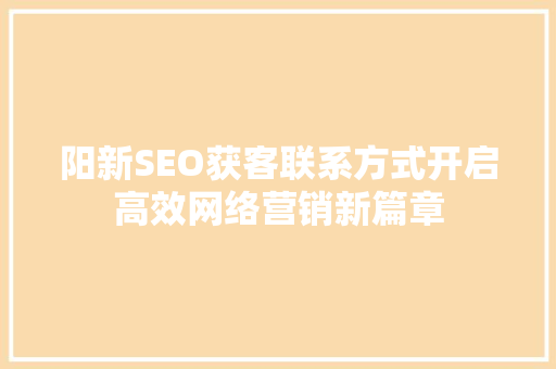 阳新SEO获客联系方式开启高效网络营销新篇章
