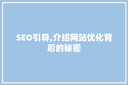 SEO引导,介绍网站优化背后的秘密