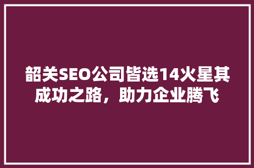 韶关SEO公司皆选14火星其成功之路，助力企业腾飞